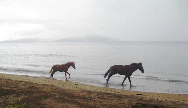 Aroha Taveuni Beachfront Bures Waiyevo Zewnętrze zdjęcie