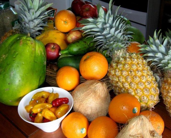 Aroha Taveuni Beachfront Bures Waiyevo Zewnętrze zdjęcie